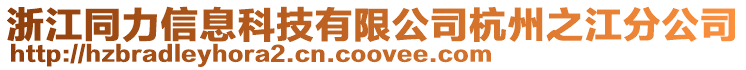 浙江同力信息科技有限公司杭州之江分公司