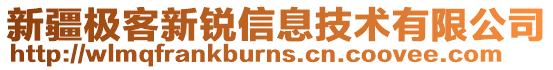 新疆極客新銳信息技術有限公司