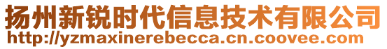 揚州新銳時代信息技術(shù)有限公司