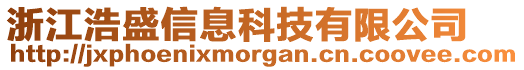 浙江浩盛信息科技有限公司