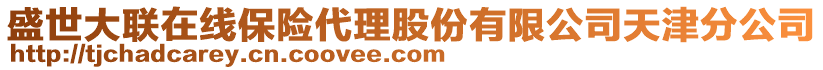 盛世大聯在線保險代理股份有限公司天津分公司