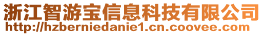 浙江智游寶信息科技有限公司