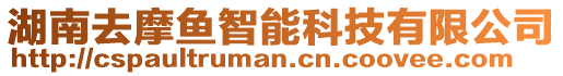 湖南去摩魚智能科技有限公司