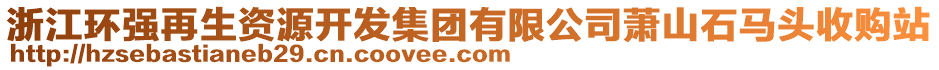 浙江環強再生資源開發集團有限公司蕭山石馬頭收購站