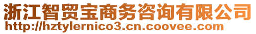 浙江智貿(mào)寶商務(wù)咨詢有限公司