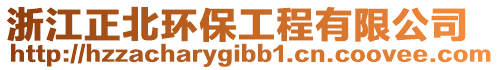 浙江正北環(huán)保工程有限公司