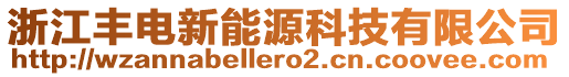 浙江豐電新能源科技有限公司