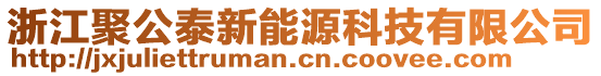 浙江聚公泰新能源科技有限公司