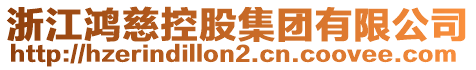 浙江鴻慈控股集團(tuán)有限公司