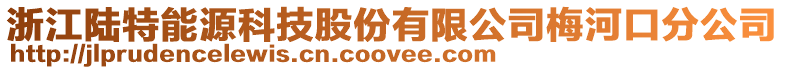 浙江陸特能源科技股份有限公司梅河口分公司