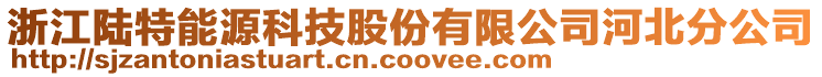 浙江陸特能源科技股份有限公司河北分公司