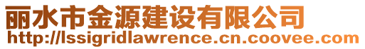 麗水市金源建設(shè)有限公司