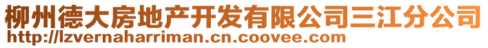 柳州德大房地产开发有限公司三江分公司