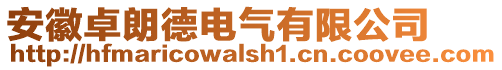 安徽卓朗德电气有限公司