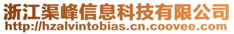 浙江渠峰信息科技有限公司