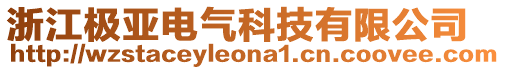 浙江極亞電氣科技有限公司