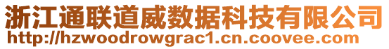 浙江通聯(lián)道威數(shù)據(jù)科技有限公司