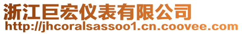 浙江巨宏儀表有限公司