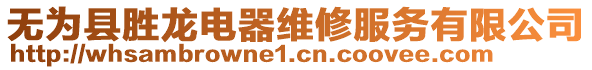 無為縣勝龍電器維修服務(wù)有限公司