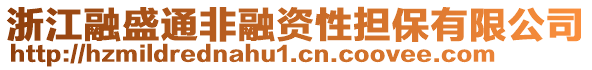 浙江融盛通非融資性擔保有限公司