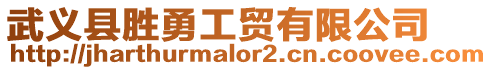 武義縣勝勇工貿有限公司