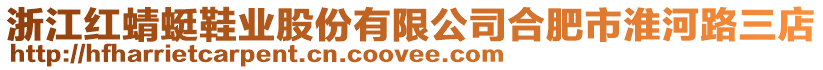 浙江紅蜻蜓鞋業股份有限公司合肥市淮河路三店