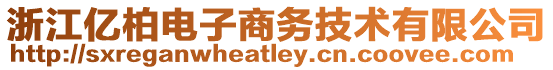 浙江億柏電子商務技術有限公司