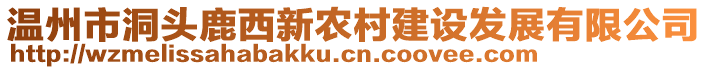 溫州市洞頭鹿西新農(nóng)村建設(shè)發(fā)展有限公司