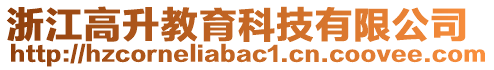 浙江高升教育科技有限公司