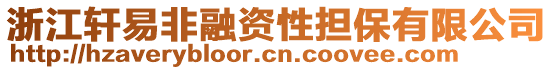 浙江軒易非融資性擔保有限公司