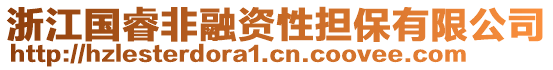 浙江國睿非融資性擔(dān)保有限公司