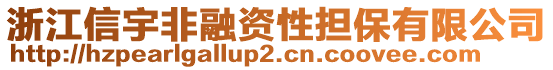 浙江信宇非融資性擔(dān)保有限公司