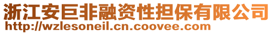 浙江安巨非融資性擔(dān)保有限公司