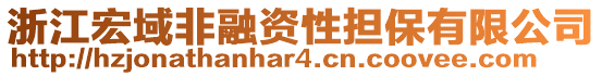 浙江宏域非融資性擔(dān)保有限公司