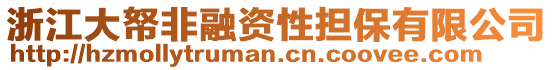 浙江大帑非融資性擔保有限公司
