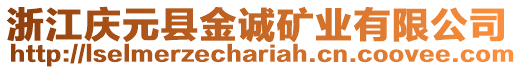 浙江慶元縣金誠礦業(yè)有限公司