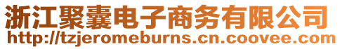 浙江聚囊電子商務(wù)有限公司
