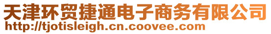 天津環(huán)貿(mào)捷通電子商務有限公司