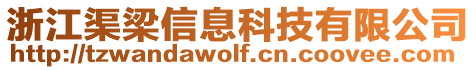 浙江渠梁信息科技有限公司