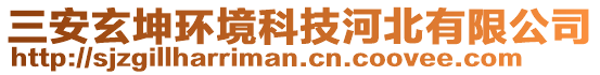 三安玄坤环境科技河北有限公司