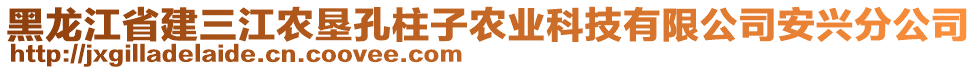 黑龍江省建三江農(nóng)墾孔柱子農(nóng)業(yè)科技有限公司安興分公司