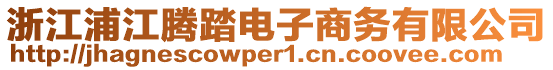 浙江浦江騰踏電子商務有限公司