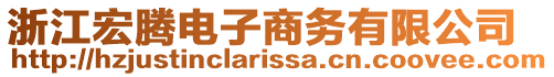 浙江宏騰電子商務(wù)有限公司