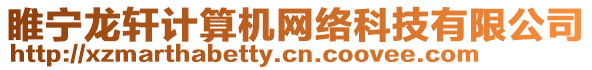 睢寧龍軒計算機網(wǎng)絡科技有限公司