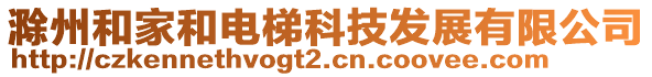 滁州和家和電梯科技發(fā)展有限公司