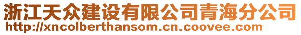 浙江天众建设有限公司青海分公司