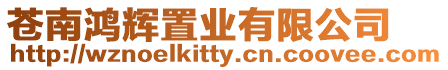 蒼南鴻輝置業有限公司