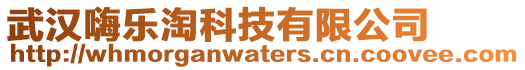 武漢嗨樂淘科技有限公司