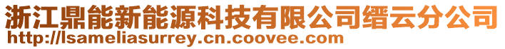 浙江鼎能新能源科技有限公司縉云分公司
