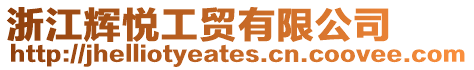 浙江輝悅工貿有限公司